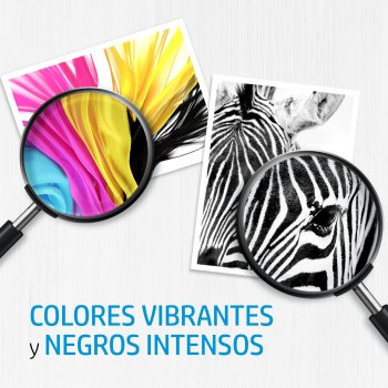 Cartucho de Tinta CC643EE | HP 300 Original Tricolor