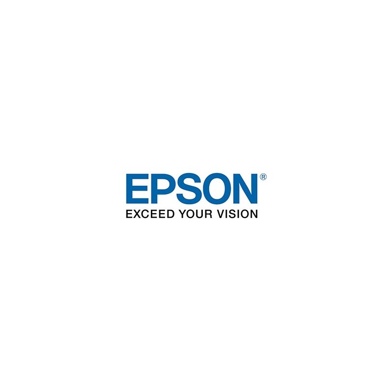 Epson DS Transfer Production 108cm x 152m